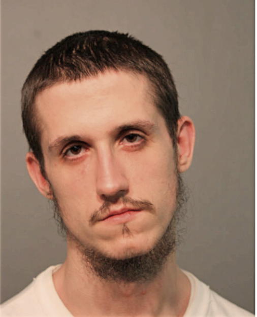 ROBERT A MIKKELSON, Cook County, Illinois