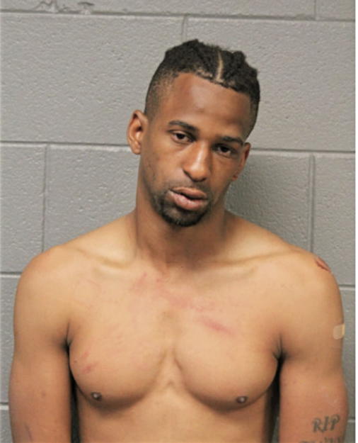 SEAN C MITCHELL, Cook County, Illinois