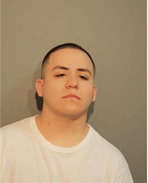 ADRIAN MORALES, Cook County, Illinois