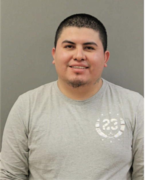 CLEMENTE MENDOZA OCHOA, Cook County, Illinois