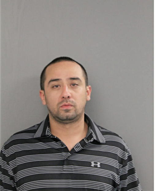 ENRIQUE OCHOA, Cook County, Illinois