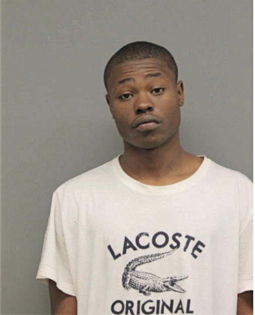 GREGORY J PETERSON, Cook County, Illinois