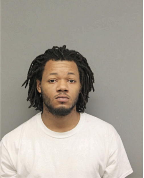 DION D RICHARDS, Cook County, Illinois