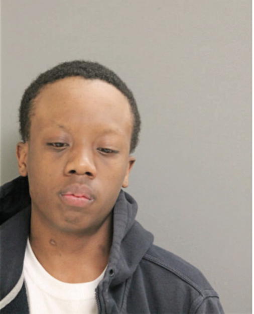 DAVID L ROBINSON, Cook County, Illinois
