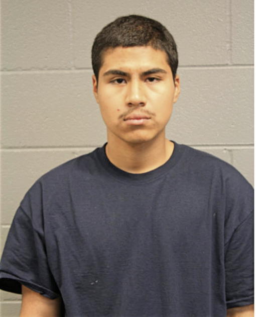 JORGE E ROJAS, Cook County, Illinois