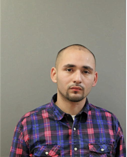 JAMES J SEPULVEDA, Cook County, Illinois