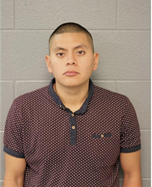 MICHEL TILAPA, Cook County, Illinois