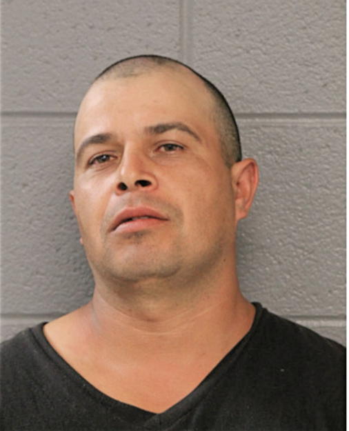 GUSTAVO VEGA, Cook County, Illinois