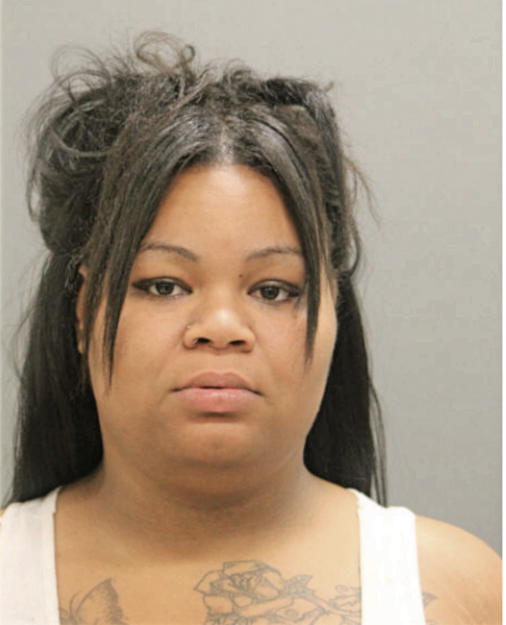 ERICA M ANNISON, Cook County, Illinois