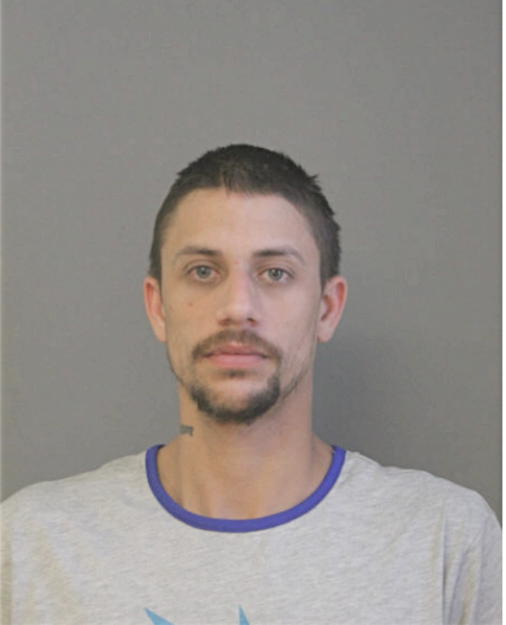ANDREW A BRYANT, Cook County, Illinois