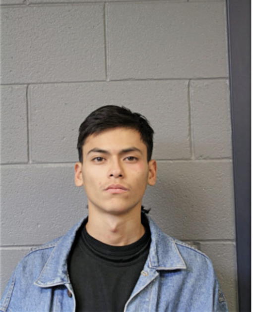 CARLOS E CALIX, Cook County, Illinois