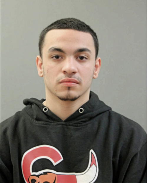 DAMIAN A COTTO, Cook County, Illinois