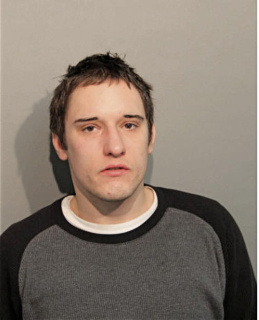 JACOB P DEMATTEO, Cook County, Illinois