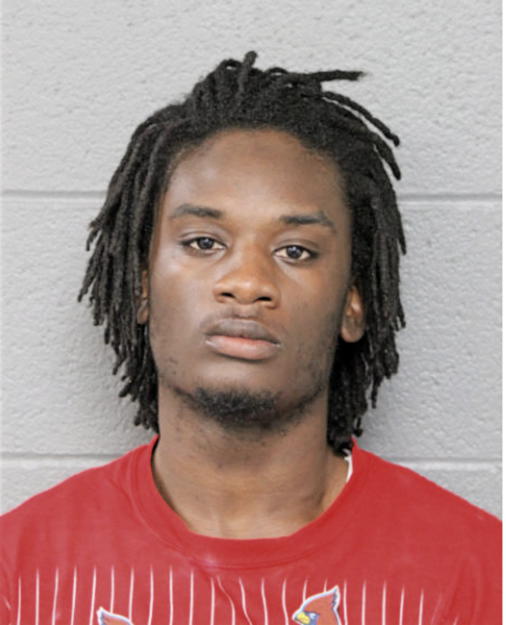 JOSHUA J EVANS, Cook County, Illinois