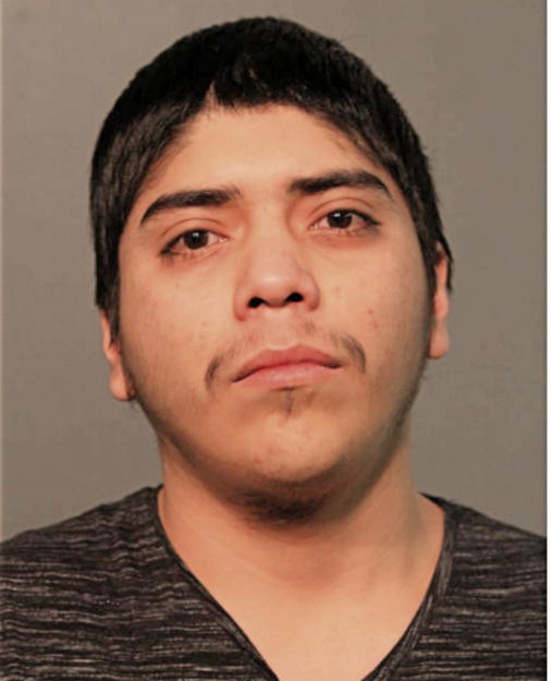 ANTONI SIERRA FLORES, Cook County, Illinois