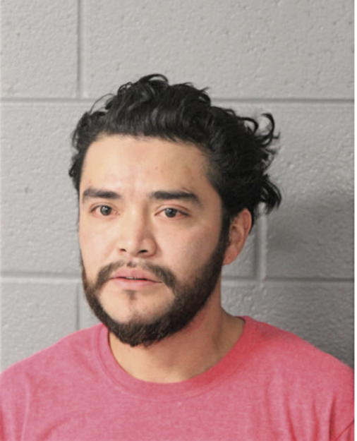 ALEJANDRO GALAN-GARCIA, Cook County, Illinois