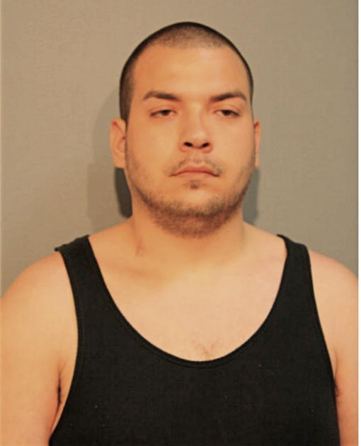 CAESAR JULIO GONZALEZ, Cook County, Illinois