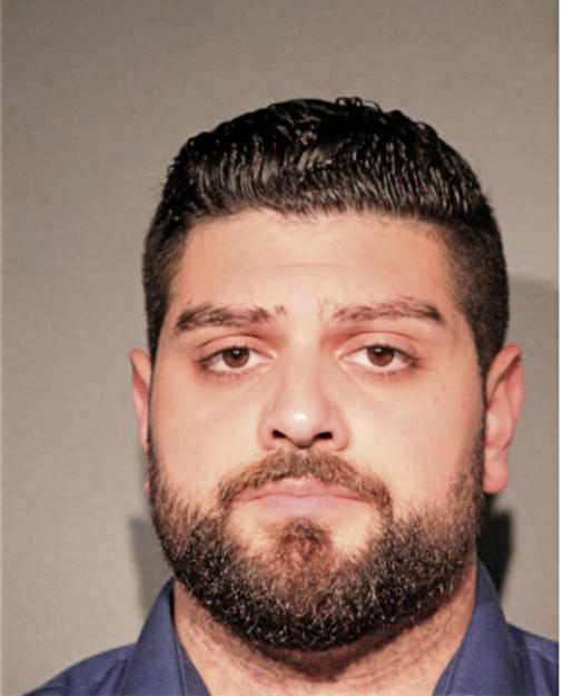 DAVID A HANNA, Cook County, Illinois