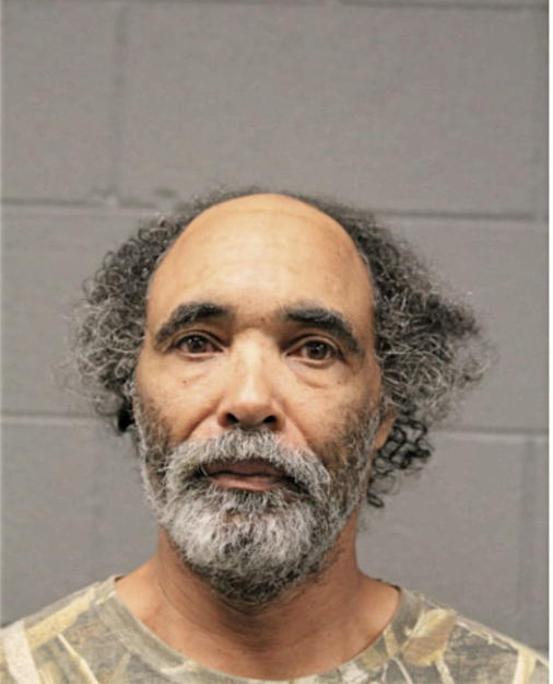 PAUL E JAMISON, Cook County, Illinois