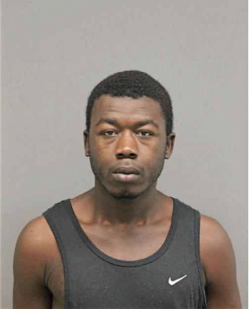 SAVION JOHNSON, Cook County, Illinois
