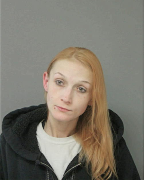 MICHELLE L LEWANDOWSKI, Cook County, Illinois