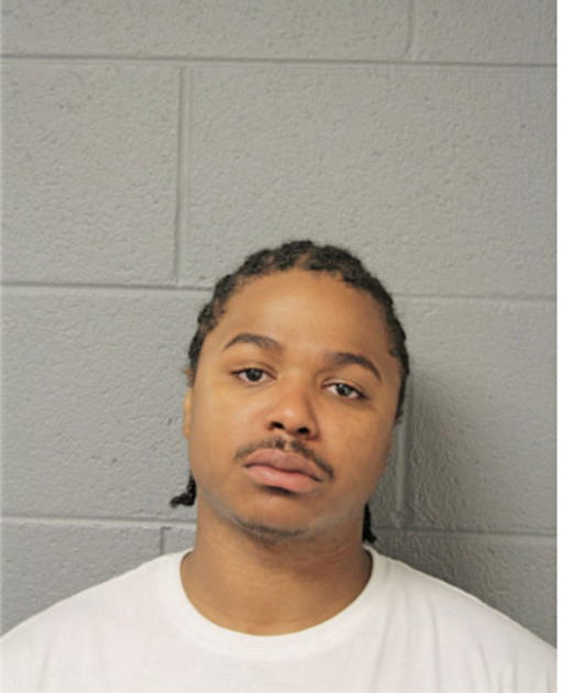 STACEY M LEWIS, Cook County, Illinois