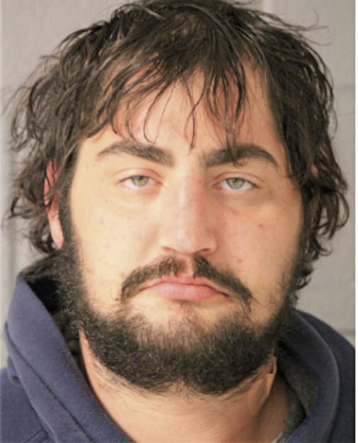 JOSEPH T MAGLIANO, Cook County, Illinois