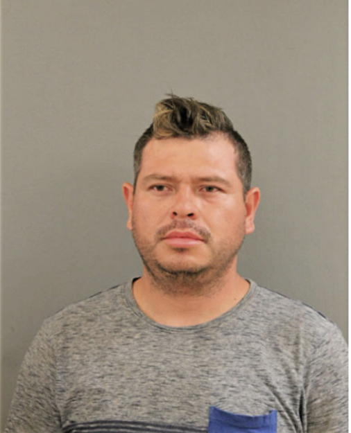 NELSON A MARQUEZ, Cook County, Illinois