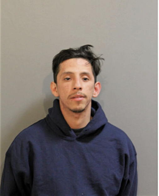 ESTEBAN CARLOS ORTIZ, Cook County, Illinois