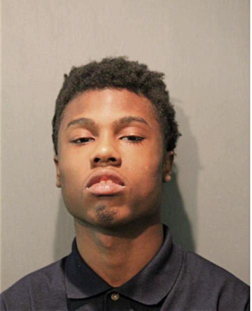 AMOS M PALMER, Cook County, Illinois