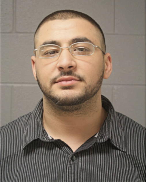 TAMER O REFAIE, Cook County, Illinois