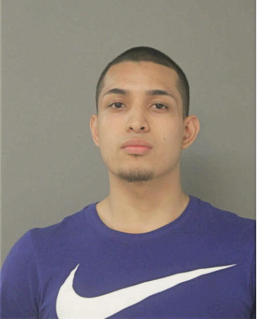 BRIAYAN J REMIGIO, Cook County, Illinois