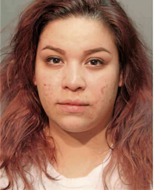 SAMANTHA M RODRIGUEZ, Cook County, Illinois