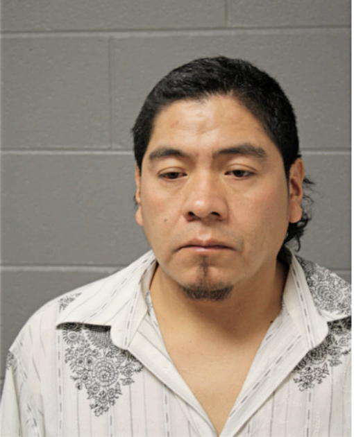 DANIEL ROMAN, Cook County, Illinois