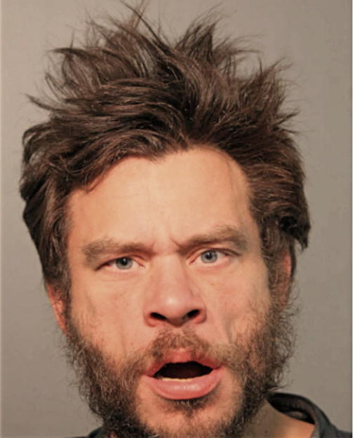 DION L SCARDINA, Cook County, Illinois