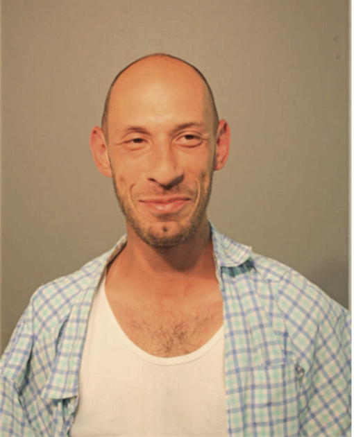 MICHAEL J SCHMIDT, Cook County, Illinois