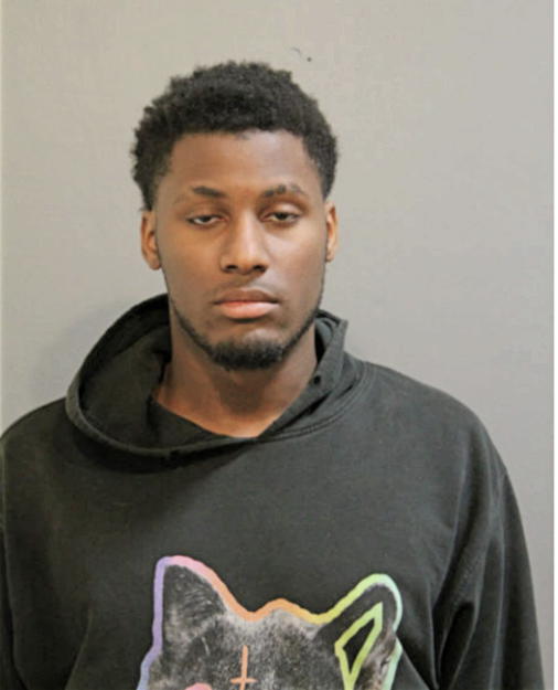 JOSHUA J STUART, Cook County, Illinois