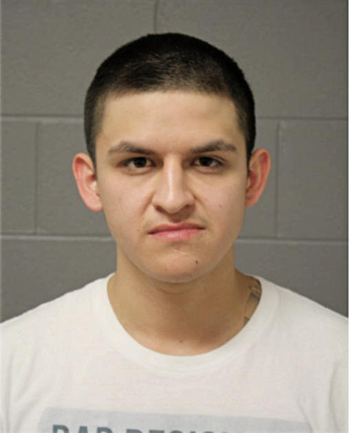 HORACIO VEGA, Cook County, Illinois