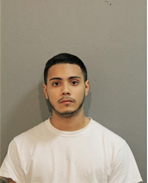 RUBEN M VELA, Cook County, Illinois