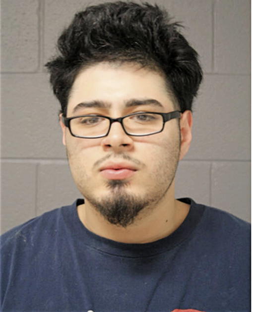 MANUEL ALFARO, Cook County, Illinois