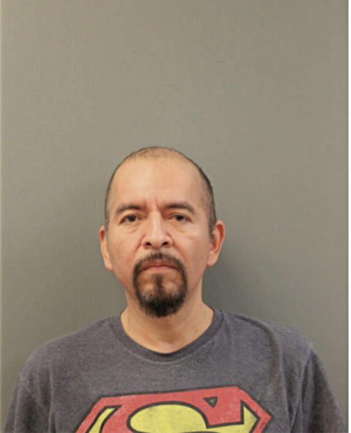 RODRIGO HERNANDEZ ALVEAR, Cook County, Illinois