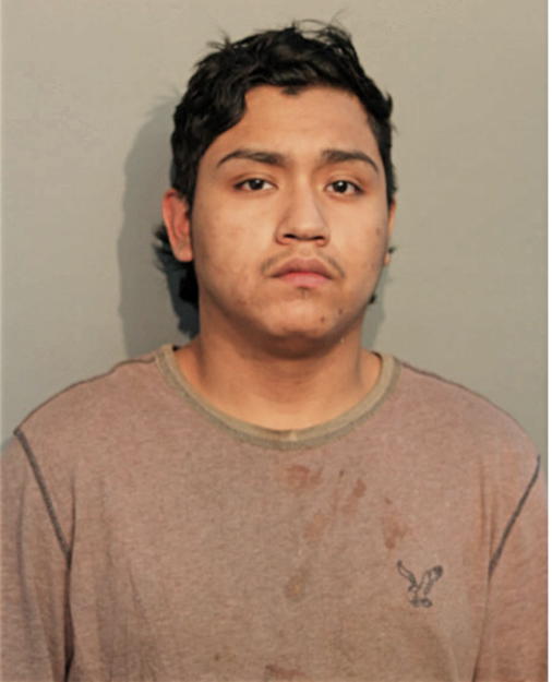 APOLINAR BELTRAN, Cook County, Illinois