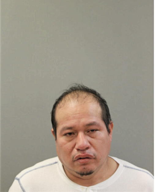 MARIO CARRION-SALAZAR, Cook County, Illinois