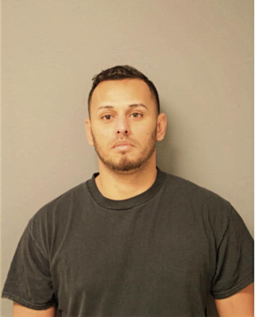 JORGE L DELGADO, Cook County, Illinois