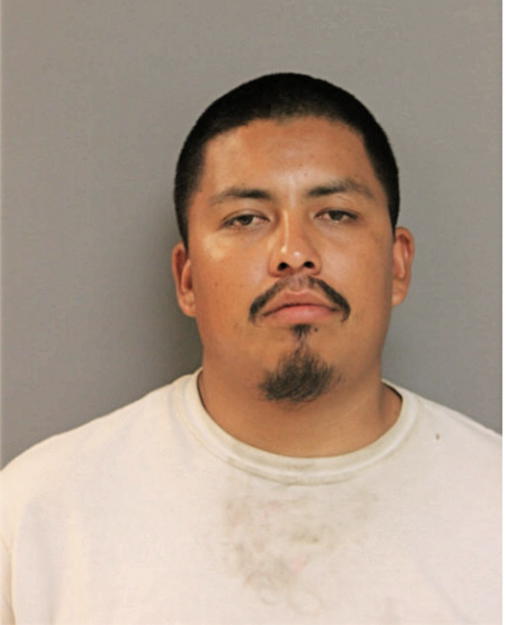 ROSARIO GARCIA, Cook County, Illinois