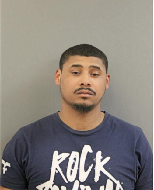 DARIUS C GAVIN, Cook County, Illinois