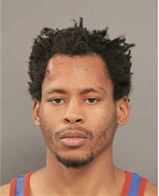 JAMES LEE IVORY, Cook County, Illinois