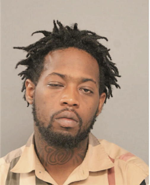 DARIEN D LEE, Cook County, Illinois