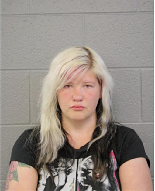 HEATHER M PENAR, Cook County, Illinois