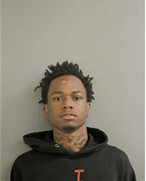 KEVIN K PHILLIPS, Cook County, Illinois